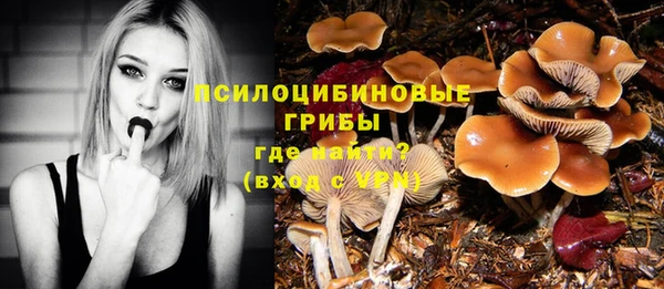 спайс Беломорск