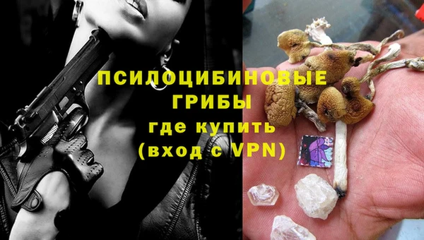 гидропоника Белоозёрский