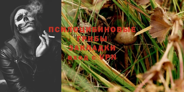 гидропоника Белоозёрский